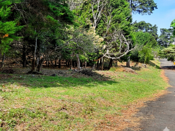 Venta de Finca San Rafael de Heredia