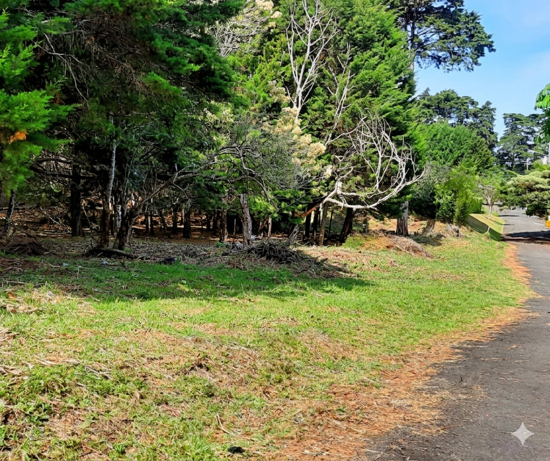 Venta de Finca San Rafael de Heredia
