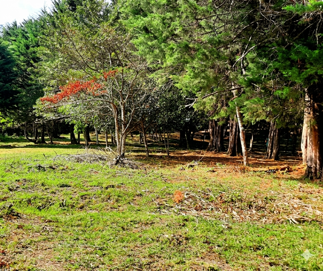 Venta de Finca San Rafael de Heredia