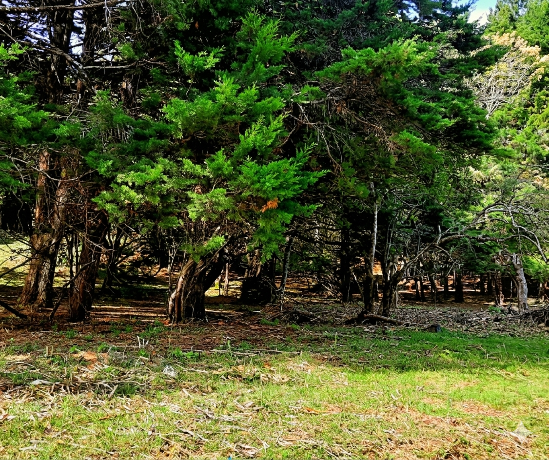 Venta de Finca San Rafael de Heredia