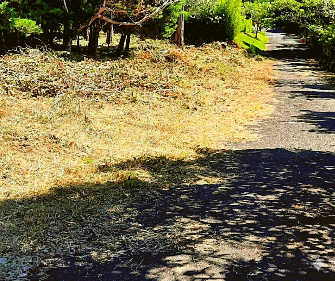 Venta de Finca San Rafael de Heredia
