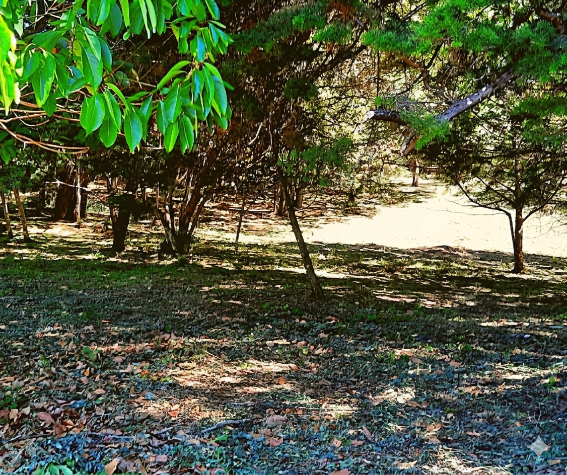Venta de Finca San Rafael de Heredia