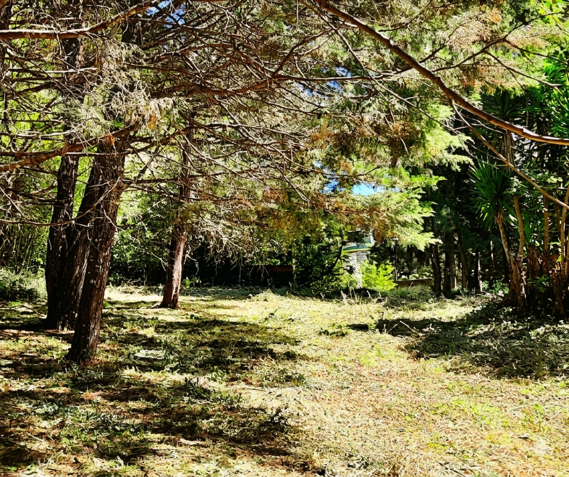 Venta de Finca San Rafael de Heredia