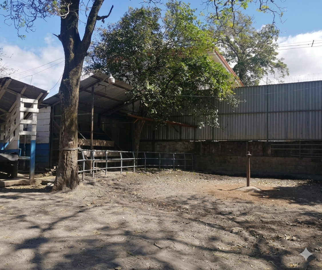 OPORTUNIDAD ÚNICA: Terreno de Alta Densidad (