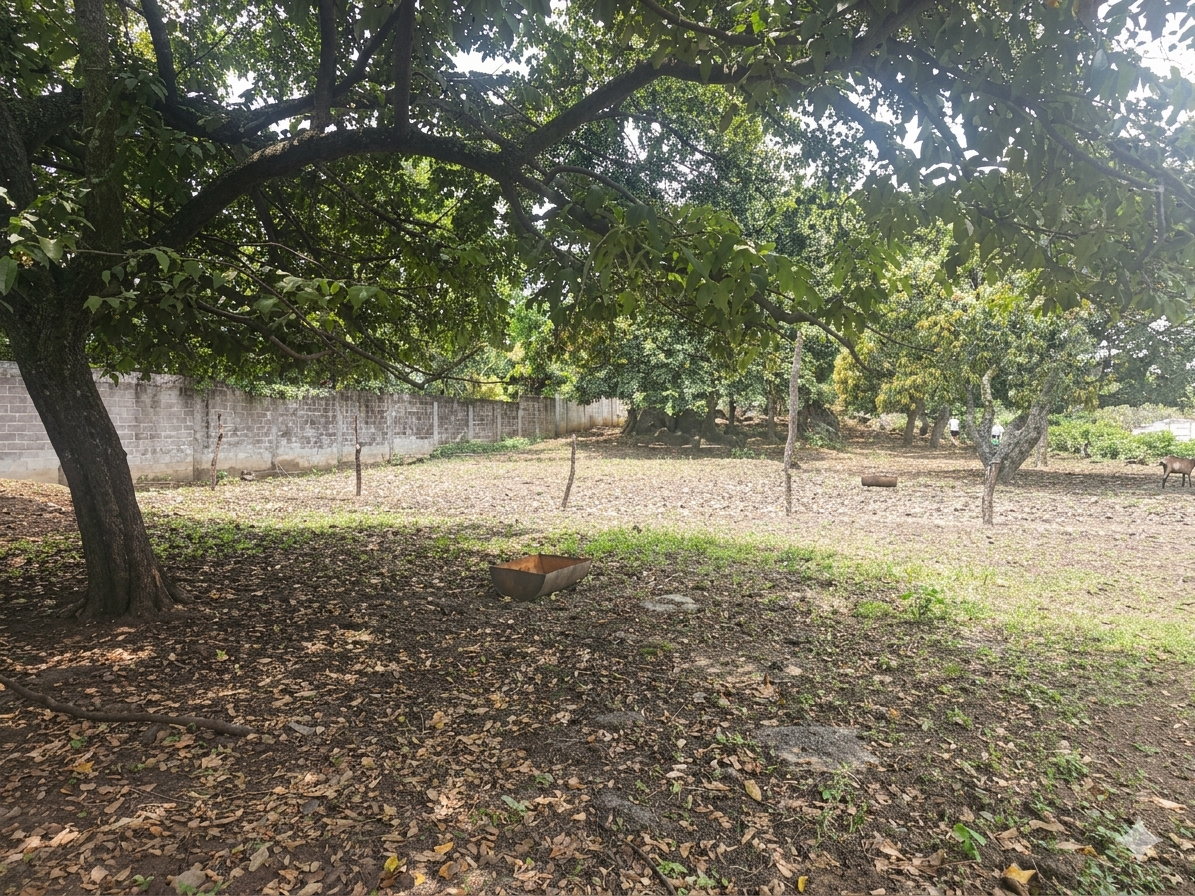 !OPORTUNIDAD: Terreno de 7,341 m² con Uso Mixto y Alta