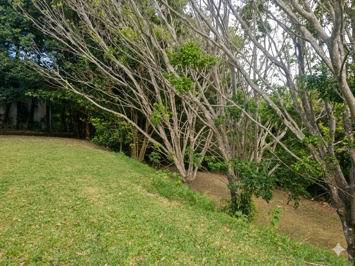 Venta de Propiedad en las montañanas de San Rafael de Heredia!