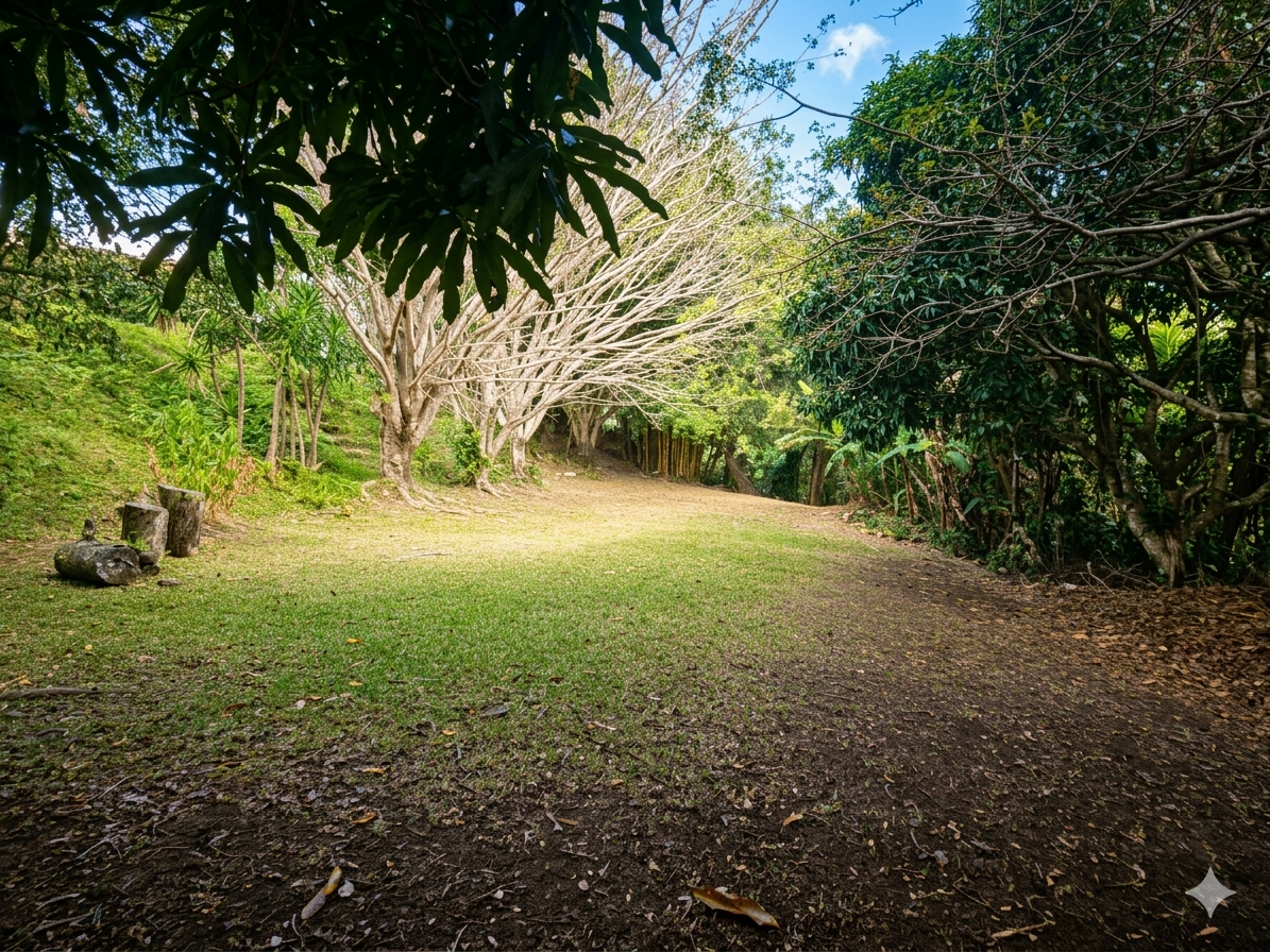 Venta de Propiedad en las montañanas de San Rafael de Heredia!
