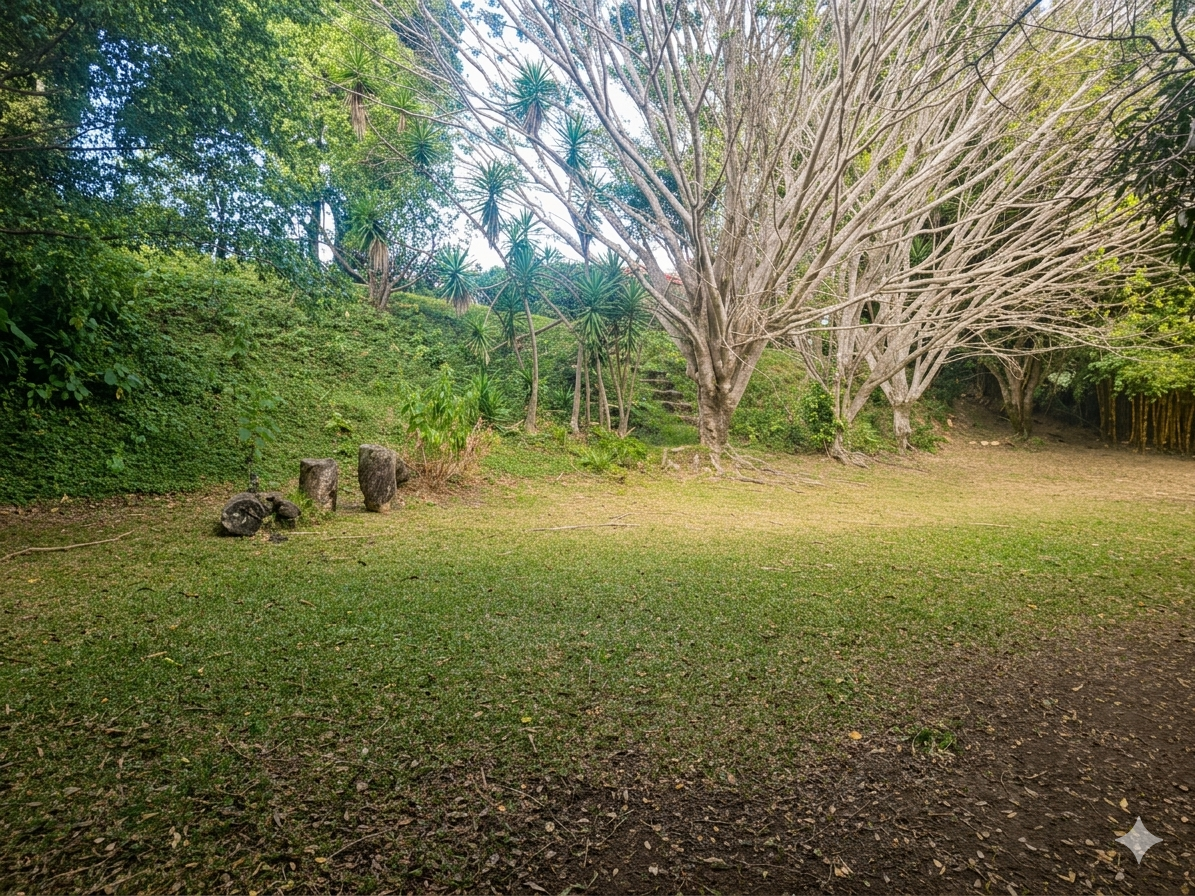 Venta de Propiedad en las montañanas de San Rafael de Heredia!
