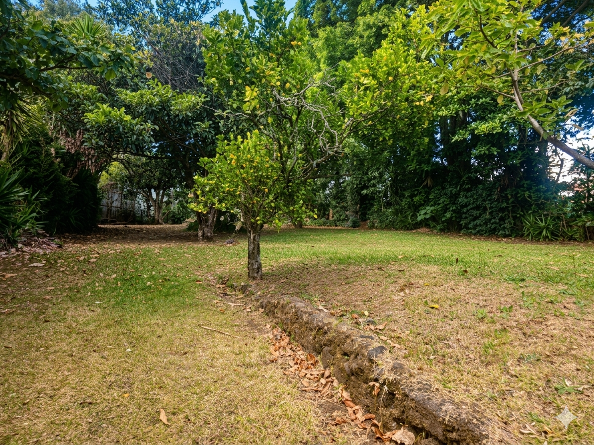 Venta de Propiedad en las montañanas de San Rafael de Heredia!
