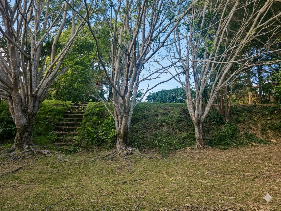 Venta de Propiedad en las montañanas de San Rafael de Heredia!