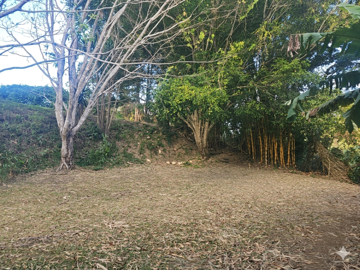 Venta de Propiedad en las montañanas de San Rafael de Heredia!