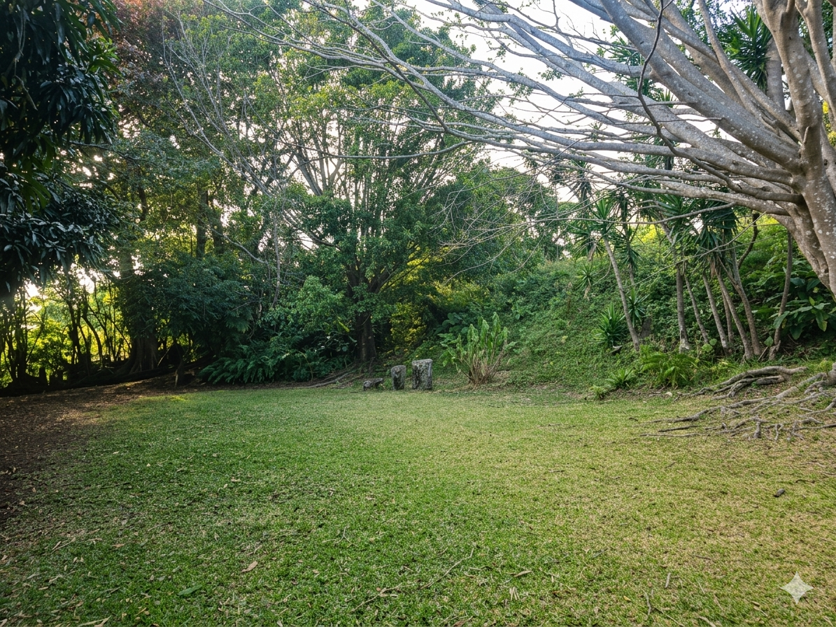 Venta de Propiedad en las montañanas de San Rafael de Heredia!