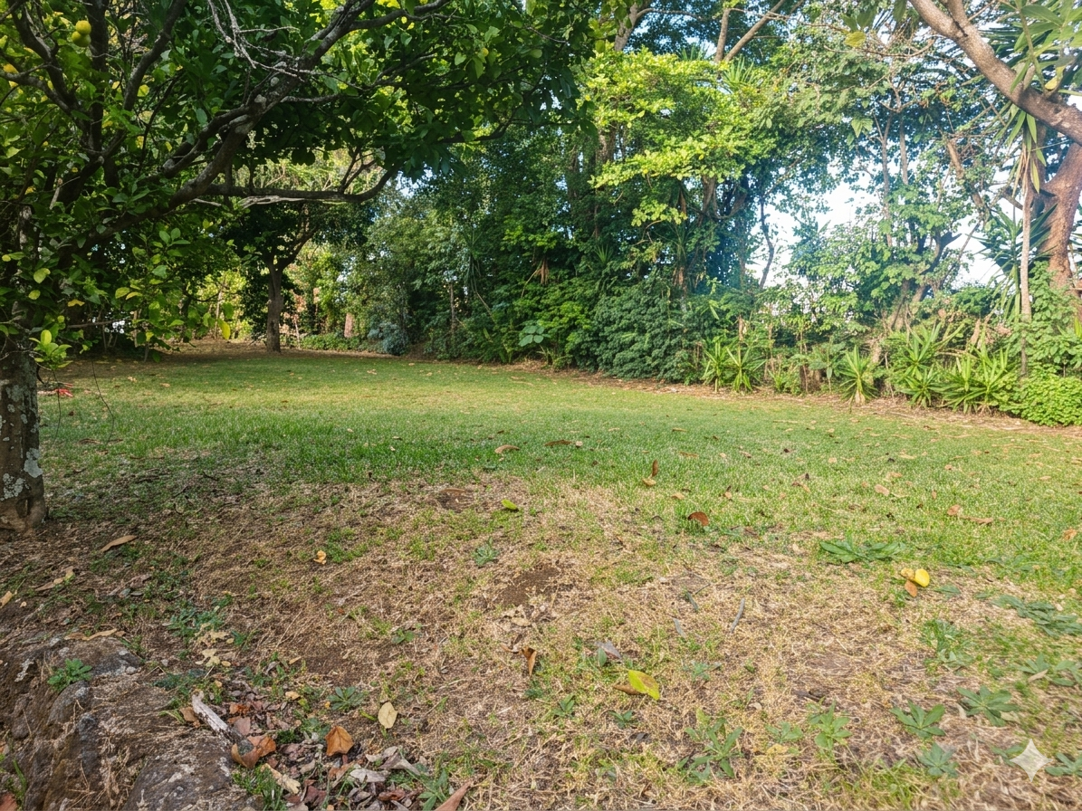 Venta de Propiedad en las montañanas de San Rafael de Heredia!