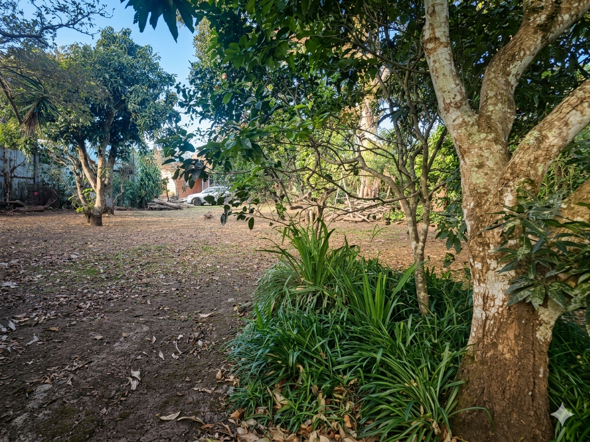 Venta de Propiedad en las montañanas de San Rafael de Heredia!