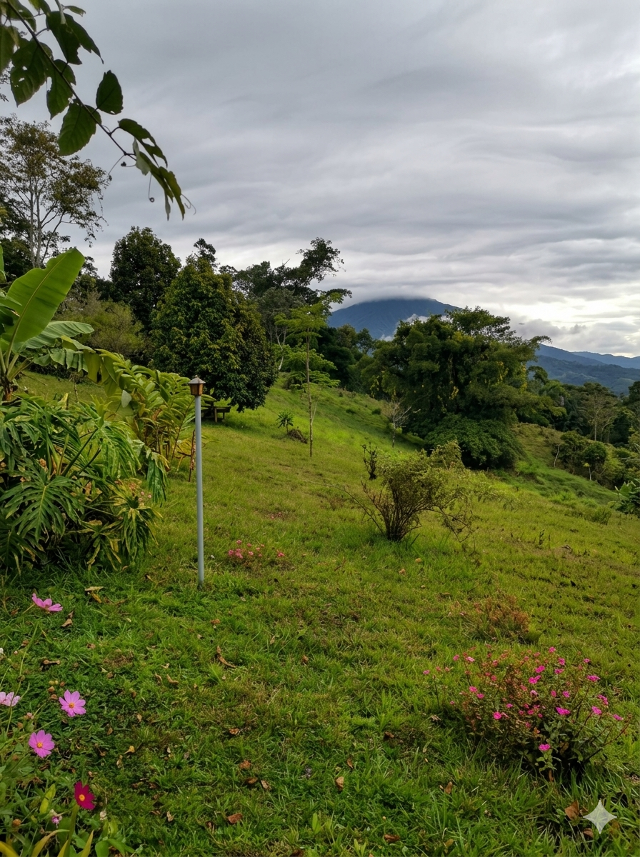Joyita en la Montaña: Vistas Únicas e Inversión Segura en Heredia