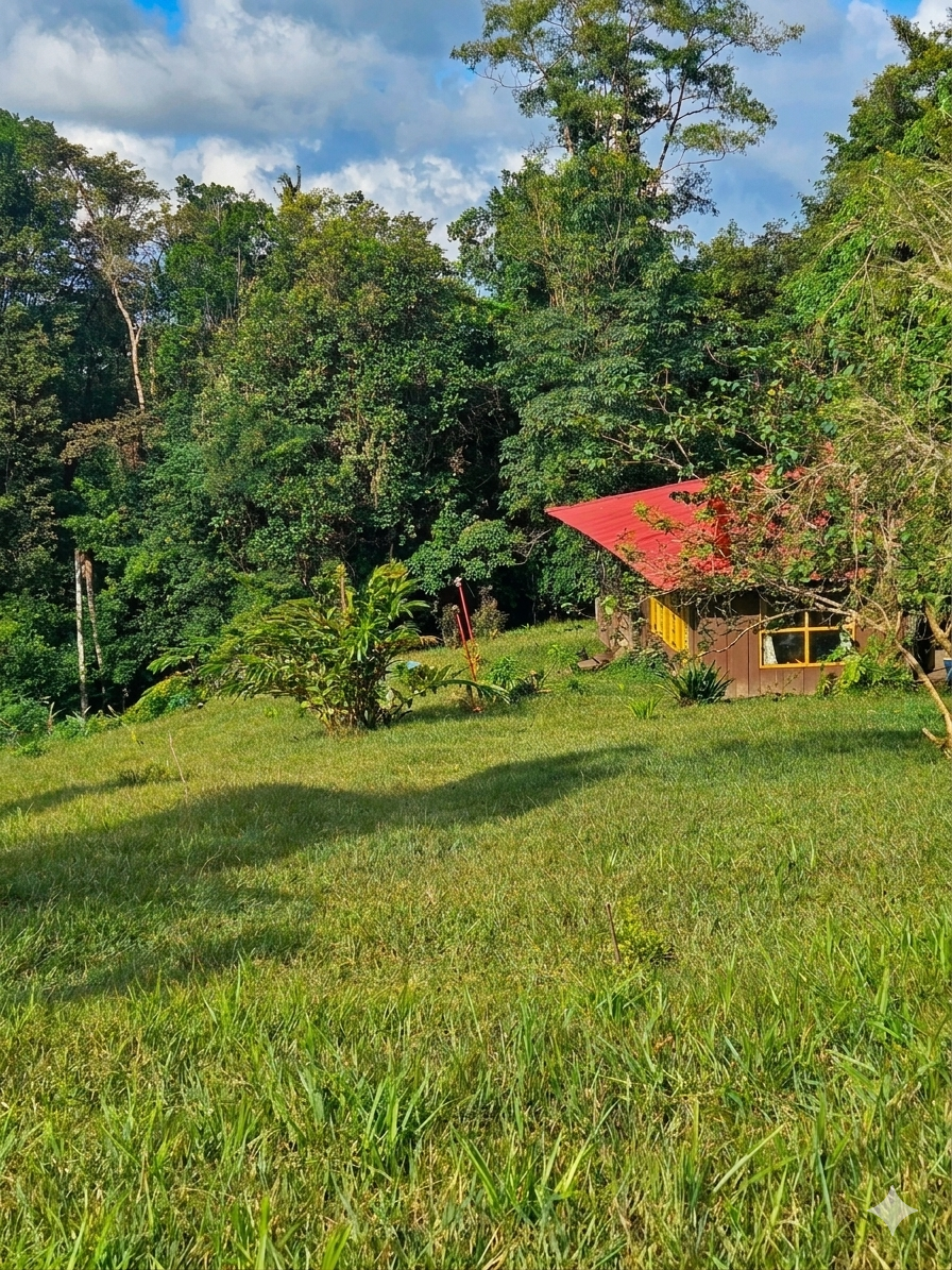 Joyita en la Montaña: Vistas Únicas e Inversión Segura en Heredia