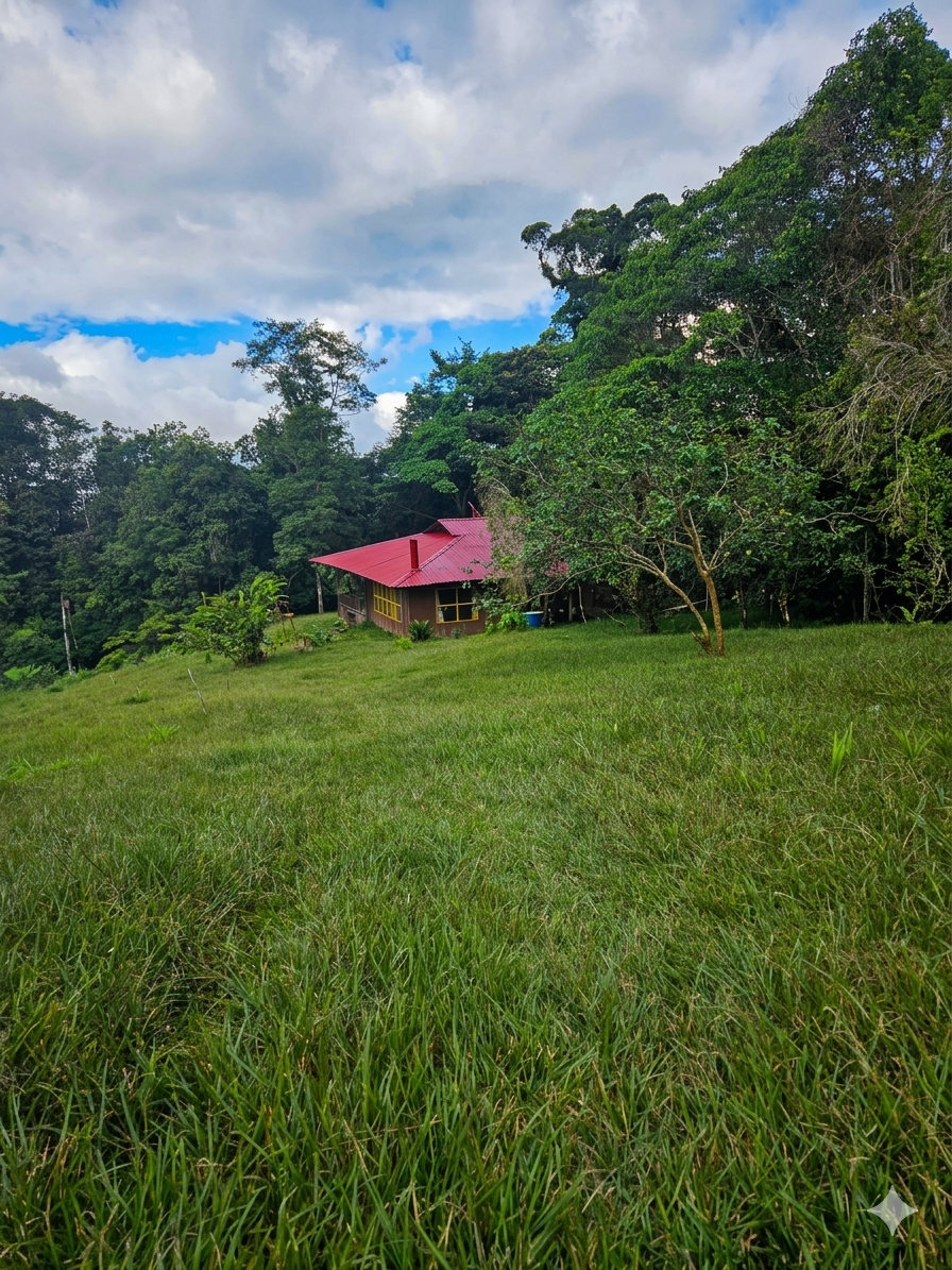 Joyita en la Montaña: Vistas Únicas e Inversión Segura en Heredia