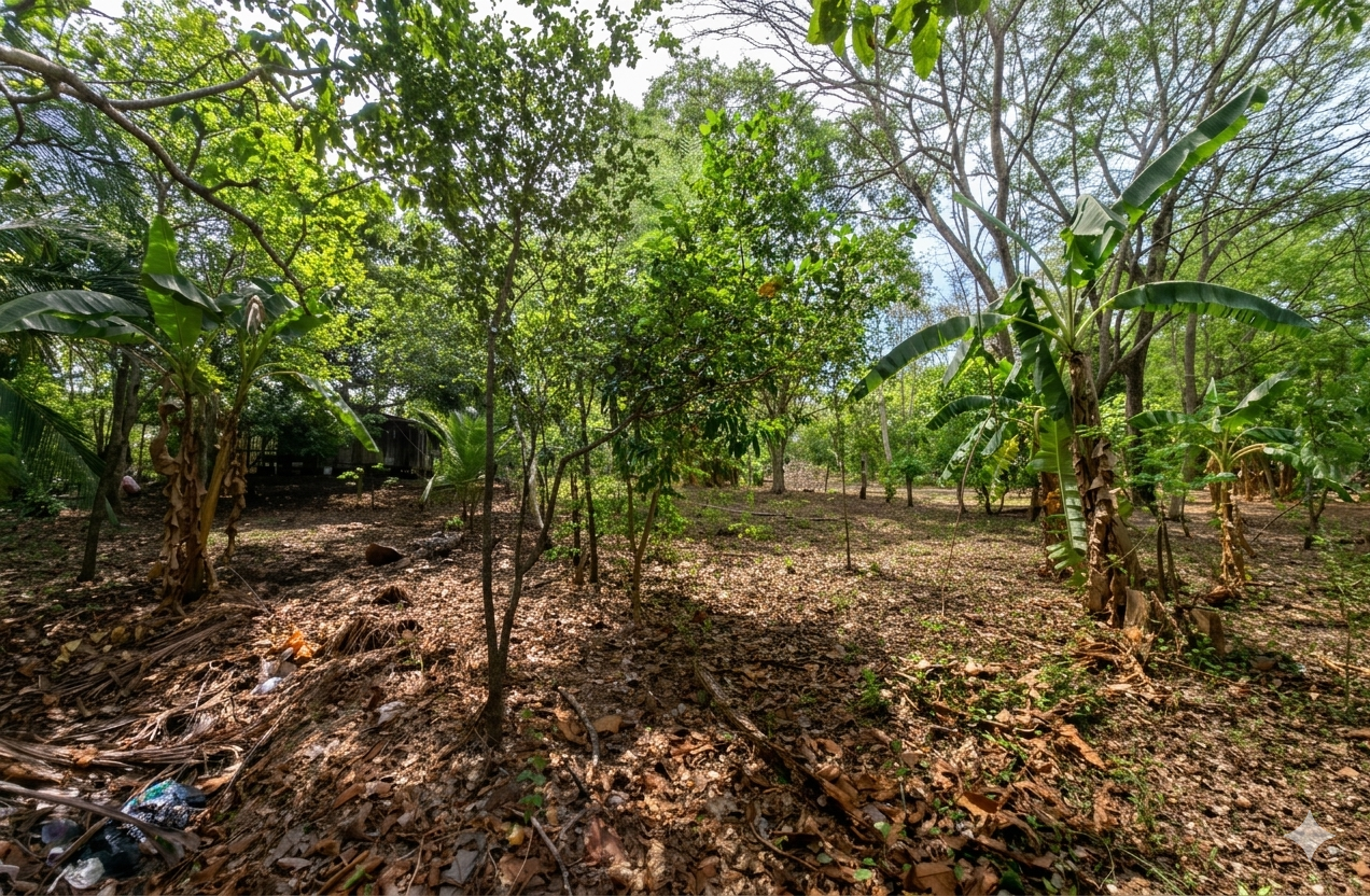 Venta de Propiedad en Guanacaste, Abangares!