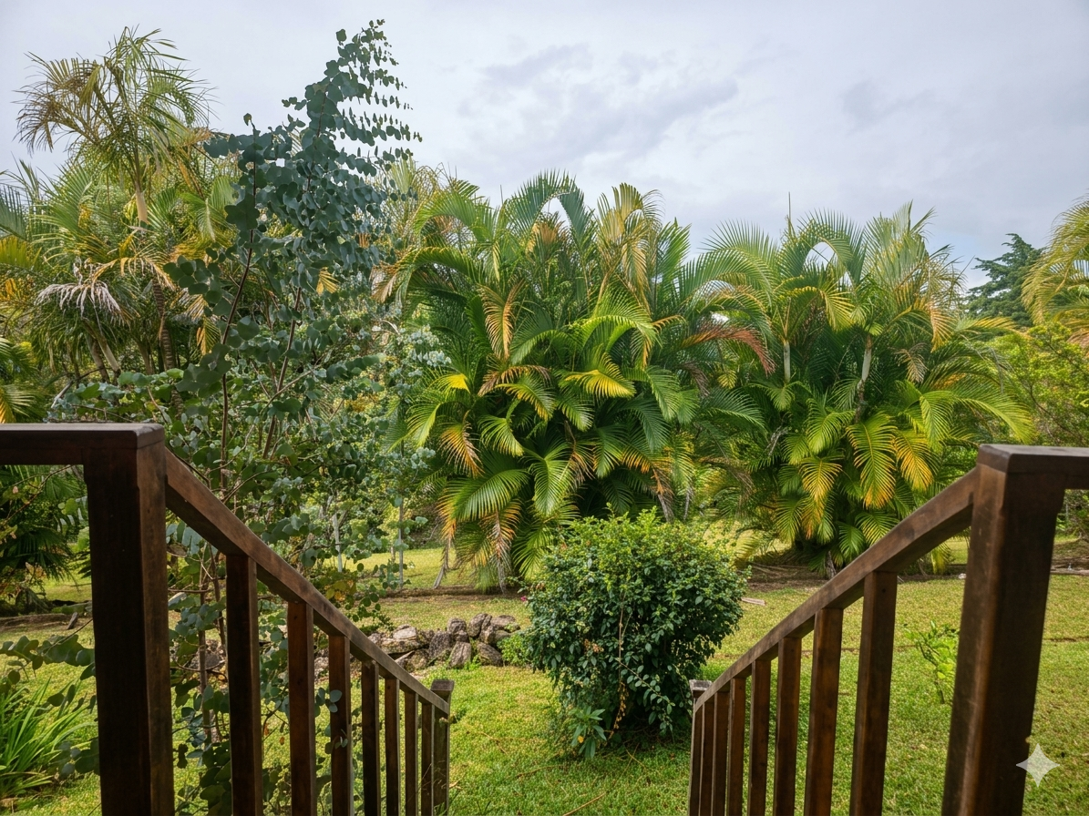 PRECIO SOLO POR EL MES DE OCTUBRE Casa de Montaña en San Rafael de Heredia | 400 m² + 6.288 m² de Terreno | Vistas