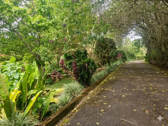 PRECIO SOLO POR EL MES DE OCTUBRE Casa de Montaña en San Rafael de Heredia | 400 m² + 6.288 m² de Terreno | Vistas